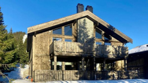 Modern ski-in out apartment at Sjusjøen
